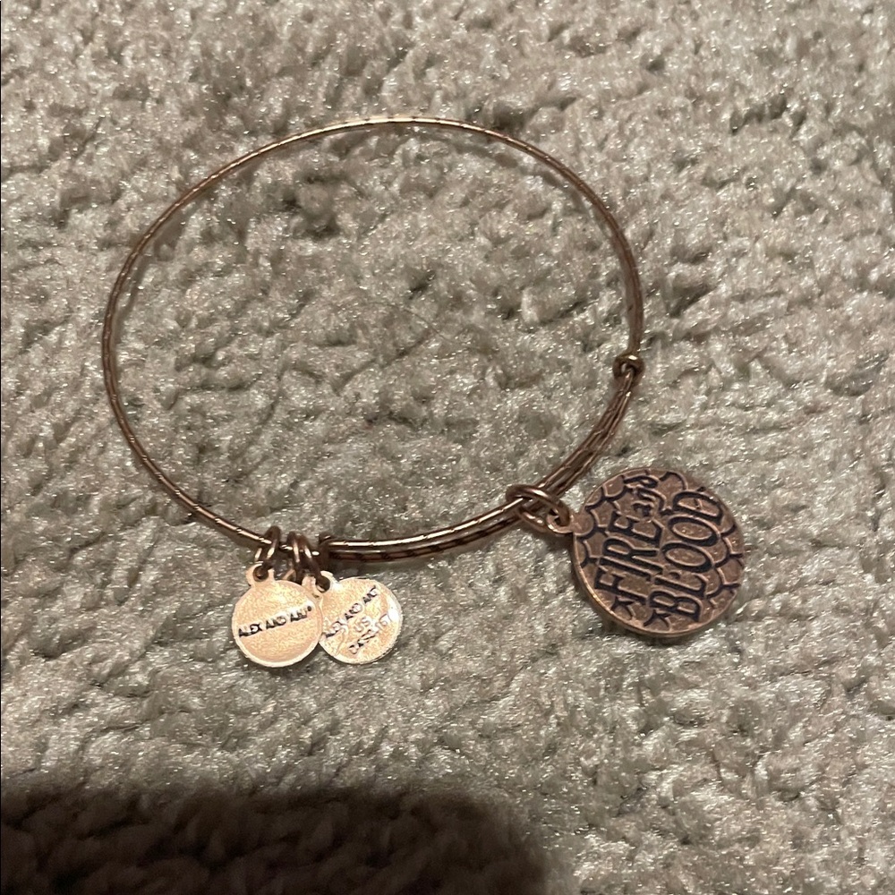 Alex and Ani Bronze Game of Thrones Charm Bracelet